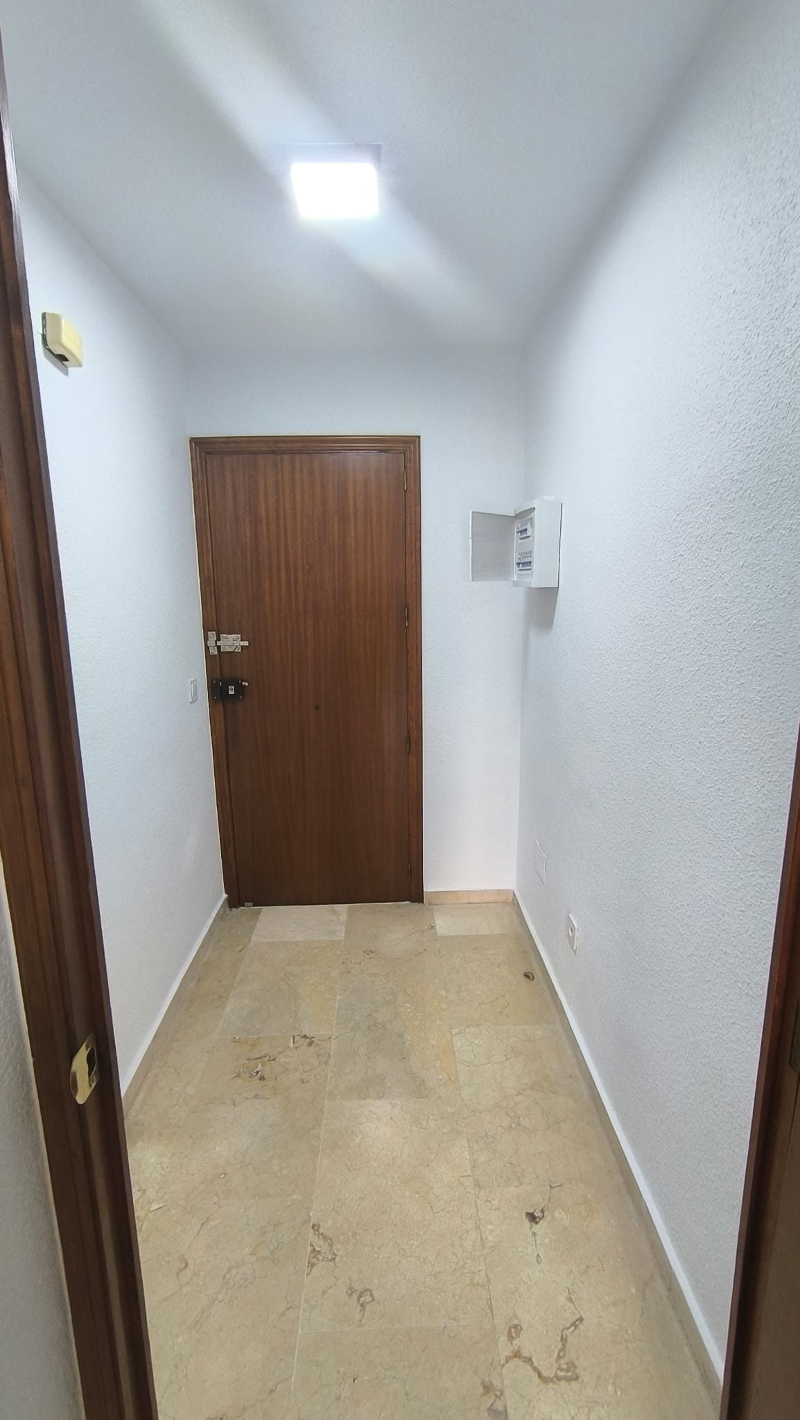 50048_WhatsApp Image 2025-12-04 at 10.24.48 (2).jpeg